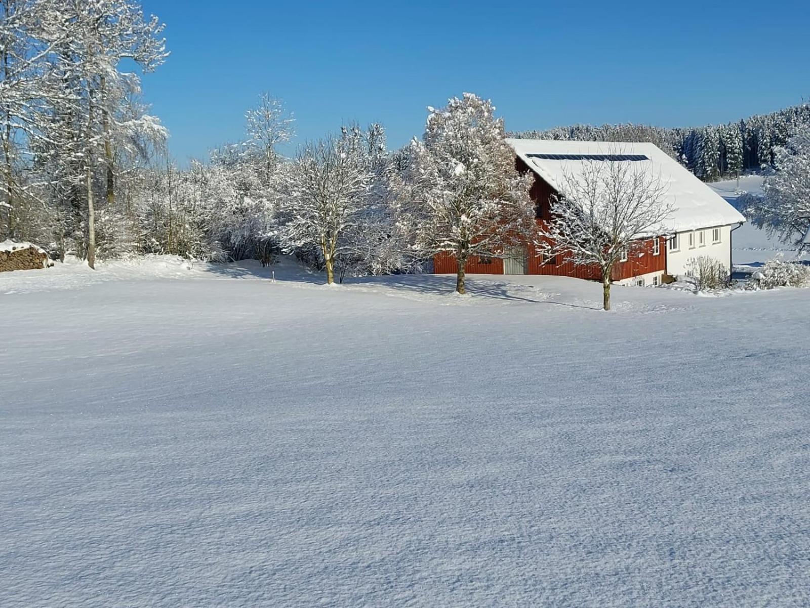 Allgaeu Bergblick Leutkirch im Allgäu Exterior foto